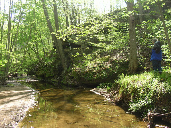 Rocky Branch Nature Preserve 