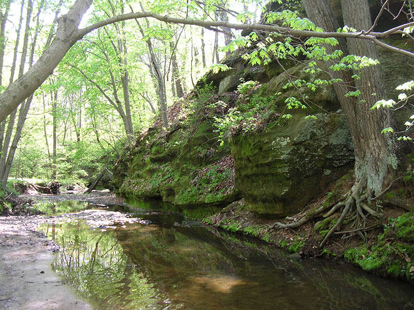 Rocky Branch Nature Preserve 